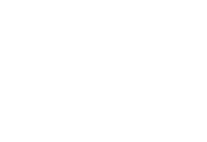 safe4u-01 Partner